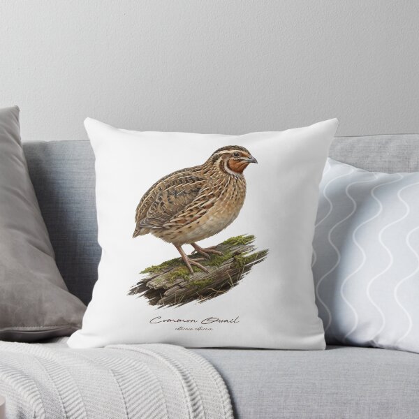Item preview, Common Quail on Mossy Log Bird Illustration designed and sold by Takeda-art.