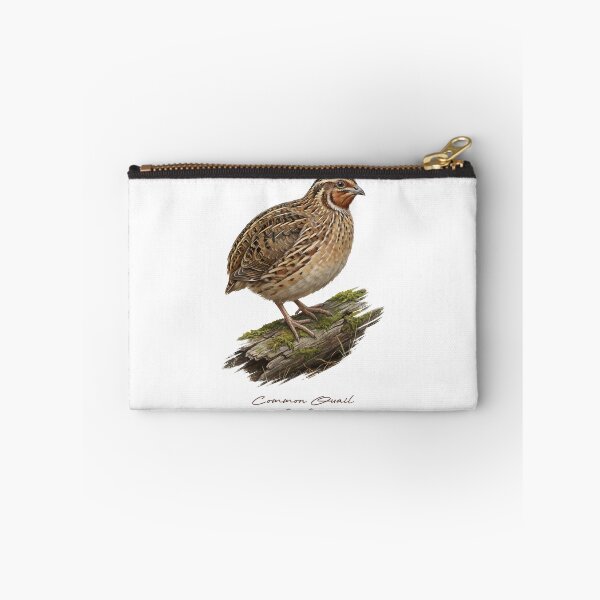 Item preview, Common Quail on Mossy Log Bird Illustration designed and sold by Takeda-art.
