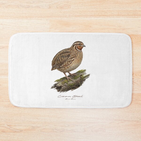 Item preview, Common Quail on Mossy Log Bird Illustration designed and sold by Takeda-art.