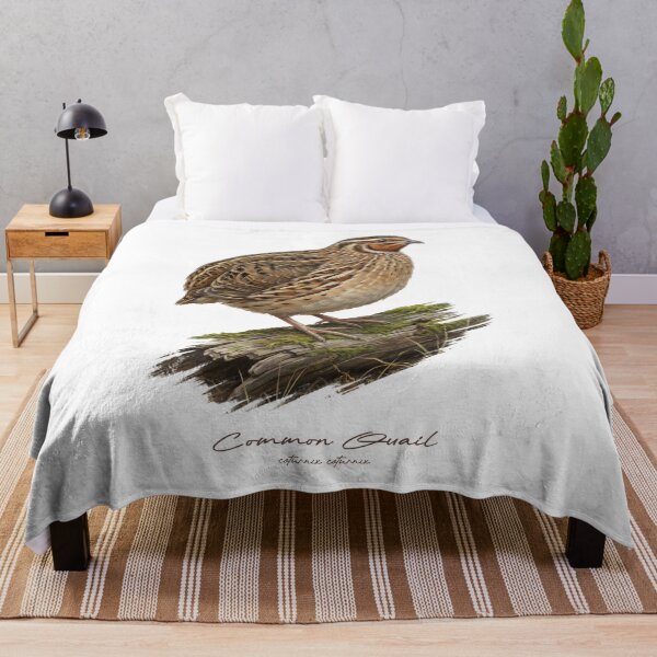 Item preview, Common Quail on Mossy Log Bird Illustration designed and sold by Takeda-art.