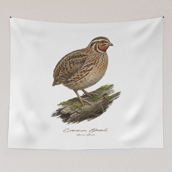 Item preview, Common Quail on Mossy Log Bird Illustration designed and sold by Takeda-art.