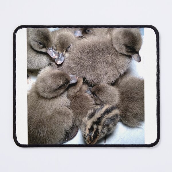 Item preview, Ducklings and Quail designed and sold by DaezieDepictions.