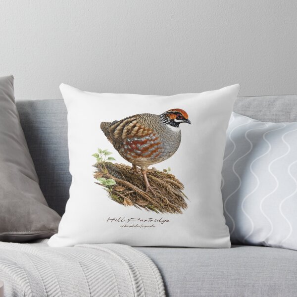 Item preview, Hill Partridge on Forest Ground Bird Illustration designed and sold by Takeda-art.