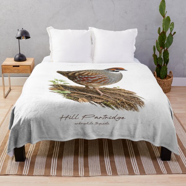 Item preview, Hill Partridge on Forest Ground Bird Illustration designed and sold by Takeda-art.