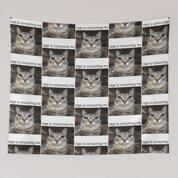 Item preview, Rage Is Consuming Me Silly Staring Cat Meme designed and sold by uza-nHornber.