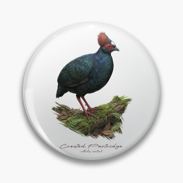 Item preview, Crested Partridge on Mossy Log Bird Illustration designed and sold by Takeda-art.
