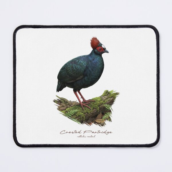 Item preview, Crested Partridge on Mossy Log Bird Illustration designed and sold by Takeda-art.