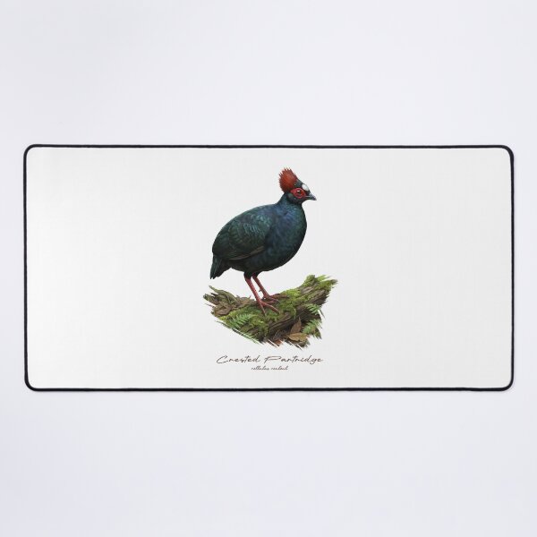 Item preview, Crested Partridge on Mossy Log Bird Illustration designed and sold by Takeda-art.