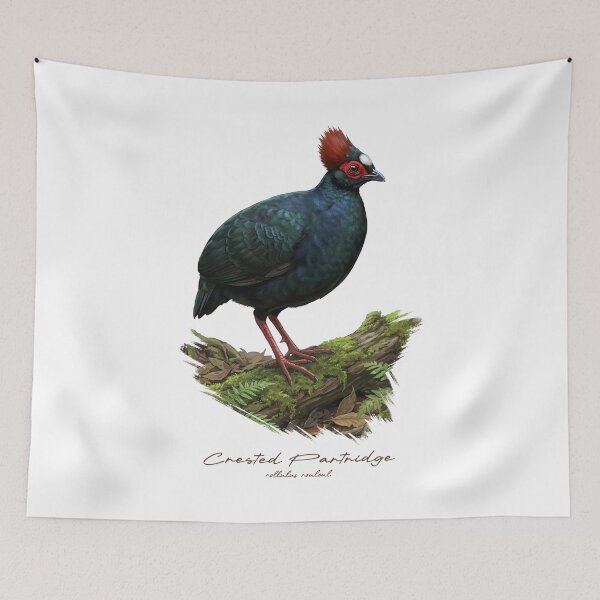 Item preview, Crested Partridge on Mossy Log Bird Illustration designed and sold by Takeda-art.
