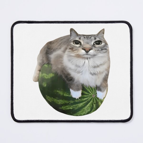 Item preview, Watermelon Cat Silly Cat Meme designed and sold by uza-nHornber.