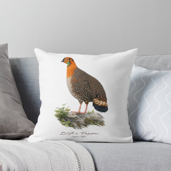 Item preview, Blyth's Tragopan on Rock Bird Illustration designed and sold by Takeda-art.