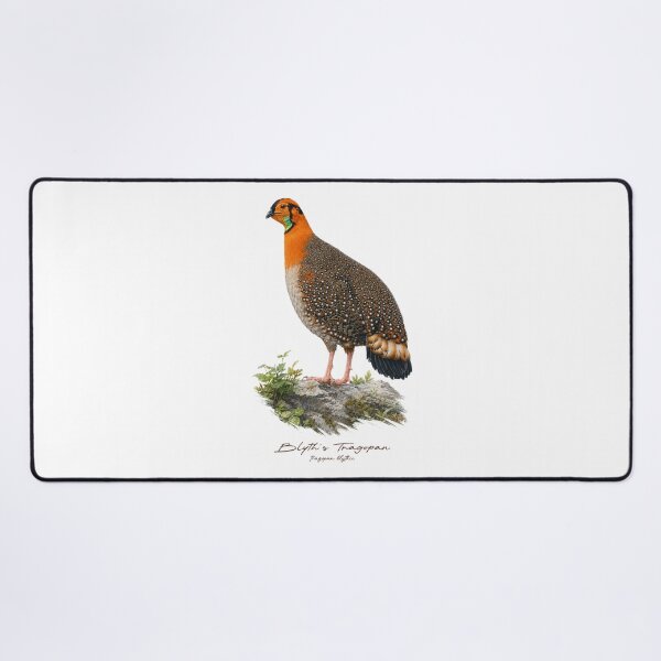 Item preview, Blyth's Tragopan on Rock Bird Illustration designed and sold by Takeda-art.