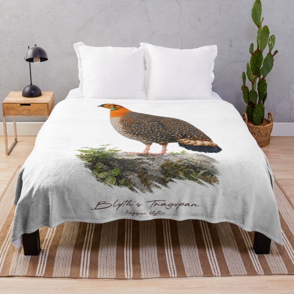 Item preview, Blyth's Tragopan on Rock Bird Illustration designed and sold by Takeda-art.