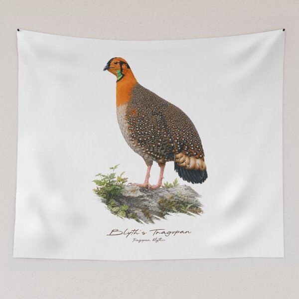 Item preview, Blyth's Tragopan on Rock Bird Illustration designed and sold by Takeda-art.