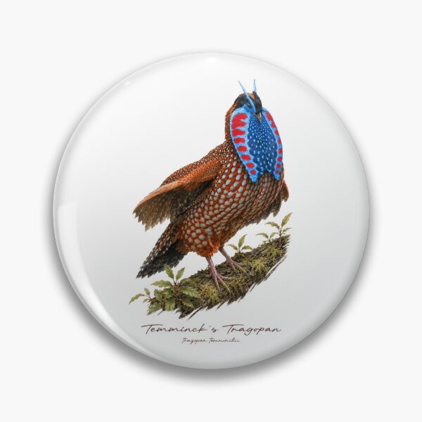 Item preview, Temminck's Tragopan on Mossy Branch Bird Illustration designed and sold by Takeda-art.