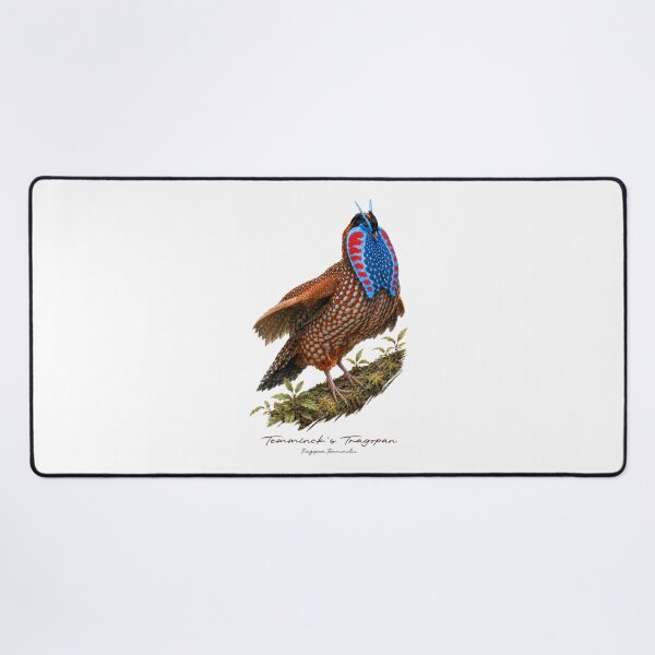 Item preview, Temminck's Tragopan on Mossy Branch Bird Illustration designed and sold by Takeda-art.