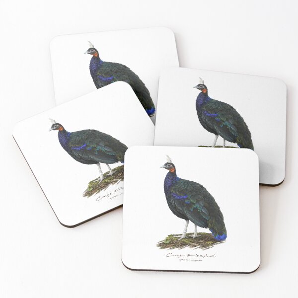 Item preview, Congo Peafowl on Forest Ground Bird Illustration designed and sold by Takeda-art.