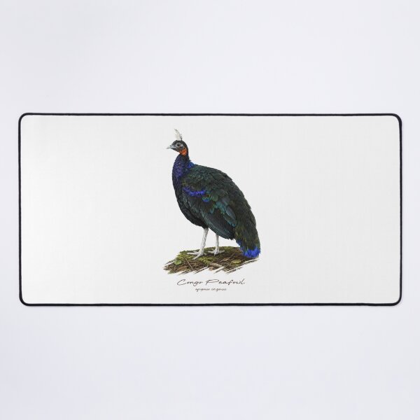 Item preview, Congo Peafowl on Forest Ground Bird Illustration designed and sold by Takeda-art.