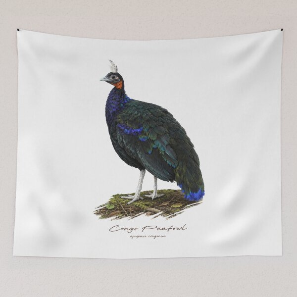 Item preview, Congo Peafowl on Forest Ground Bird Illustration designed and sold by Takeda-art.