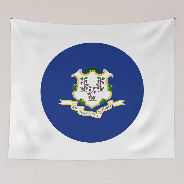 Item preview, Connecticut Circle Flag Moving Away Gift, Homesick CT Present designed and sold by shitpostee.