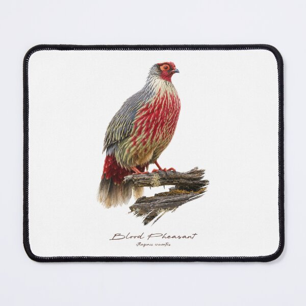 Item preview, Blood Pheasant on Dried Branch Bird Illustration designed and sold by Takeda-art.