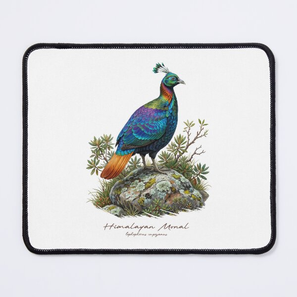 Item preview, Himalayan Monal on Rock Bird Illustration designed and sold by Takeda-art.