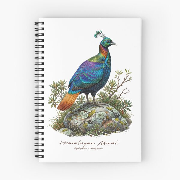 Item preview, Himalayan Monal on Rock Bird Illustration designed and sold by Takeda-art.