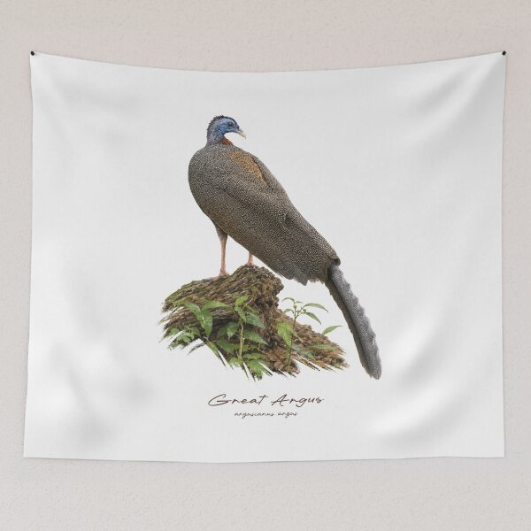 Item preview, Great Argus on Forest Ground Bird Illustration designed and sold by Takeda-art.