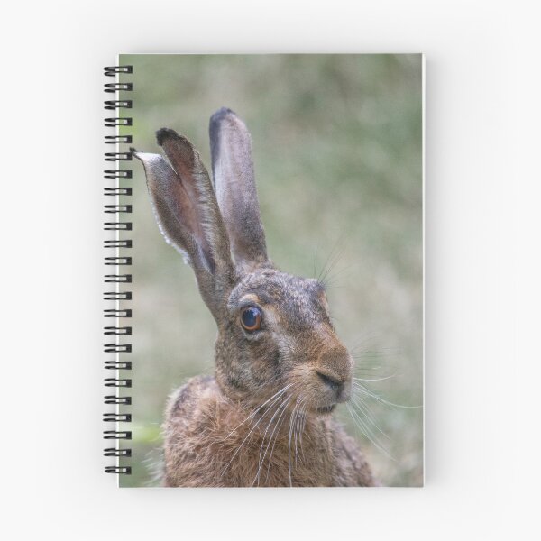 Item preview, European Hare Portrait in Nature designed and sold by Medve Photography & Design.