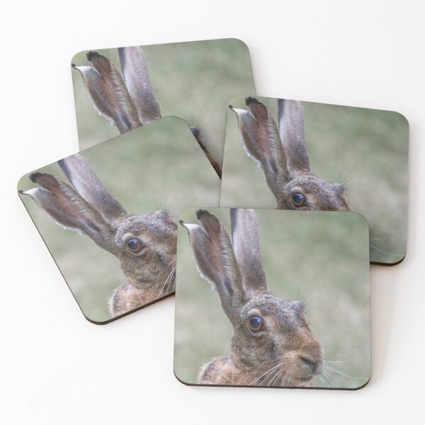 Item preview, European Hare Portrait in Nature designed and sold by gabormedve.
