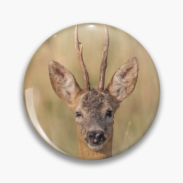 Item preview, Roe Deer Buck in Summer designed and sold by Medve Photography & Design.