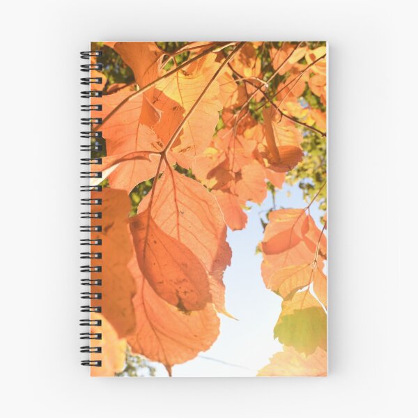 Aperçu de l'œuvre Feuillage d'automne créée et vendue par Jerica Knabe.