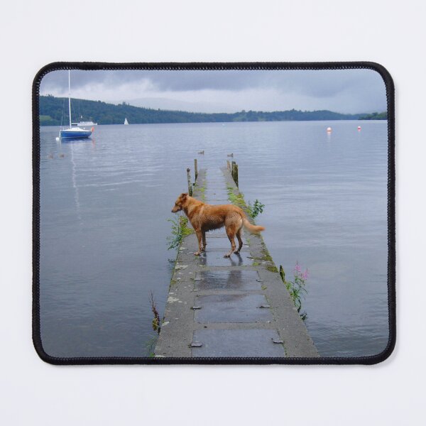 Item preview, When the boat comes in... designed and sold by Ladymoose.