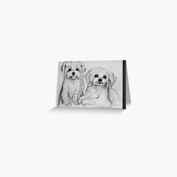 Maltese pups Greeting Card