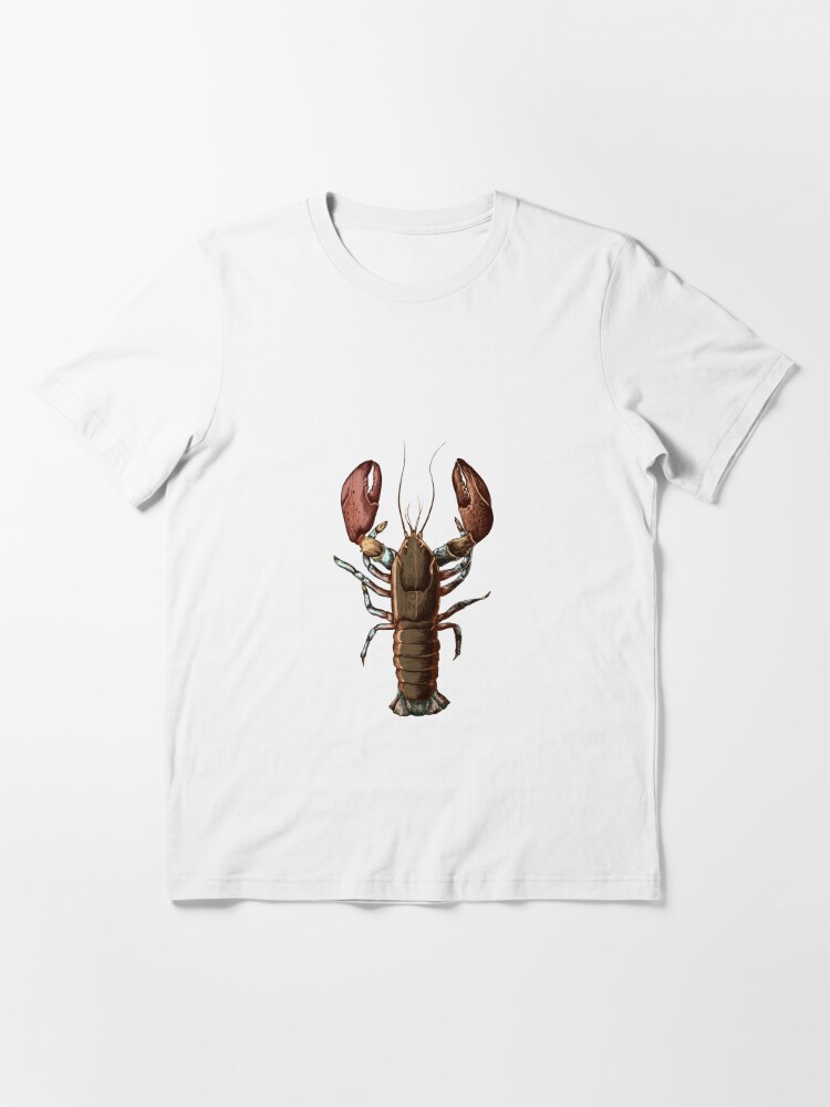 MAINE LOBSTER SUPPORTING the BOSTON RED SOX (NEW ENGLAND PROUD) Editorial  Stock Image - Illustration of organ, shirt: 269688429