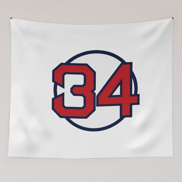 Item preview, David Ortiz Retired 34 designed and sold by ProfesStore.