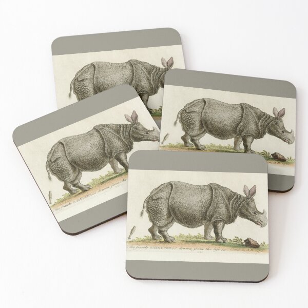 Item preview, Female rhinoceros, drawn from life in 1752 designed and sold by TerryKerrImages.