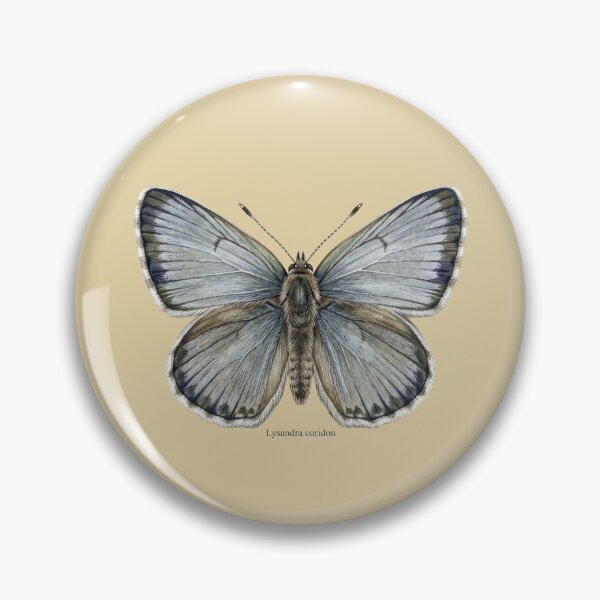 Item preview, The Pale Monarch: Chalk Hill Blue Lysandra Coridon Entomological Art designed and sold by FreiherrPK.