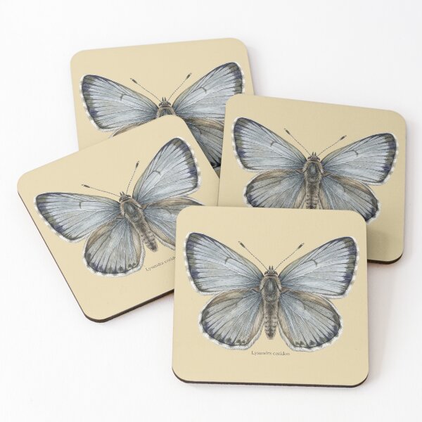 Item preview, The Pale Monarch: Chalk Hill Blue Lysandra Coridon Entomological Art designed and sold by FreiherrPK.