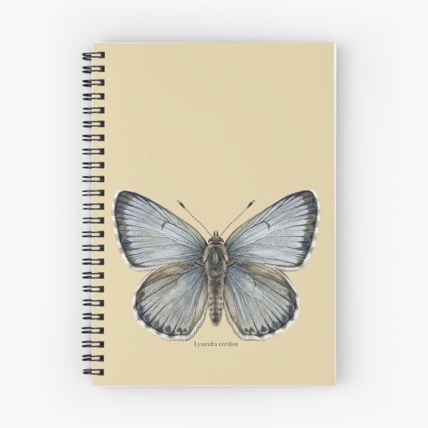Item preview, The Pale Monarch: Chalk Hill Blue Lysandra Coridon Entomological Art designed and sold by FreiherrPK.