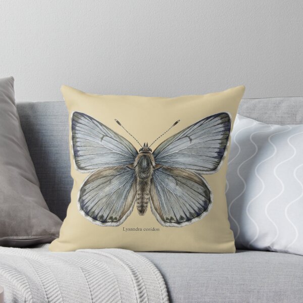 Item preview, The Pale Monarch: Chalk Hill Blue Lysandra Coridon Entomological Art designed and sold by FreiherrPK.