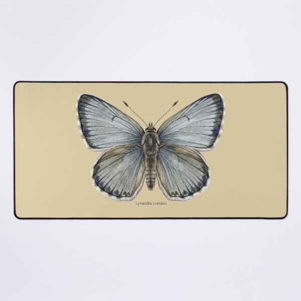 Item preview, The Pale Monarch: Chalk Hill Blue Lysandra Coridon Entomological Art designed and sold by FreiherrPK.