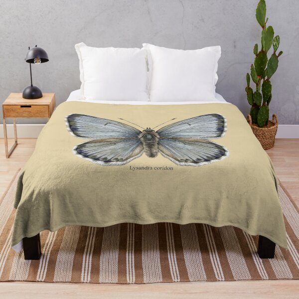 Item preview, The Pale Monarch: Chalk Hill Blue Lysandra Coridon Entomological Art designed and sold by FreiherrPK.