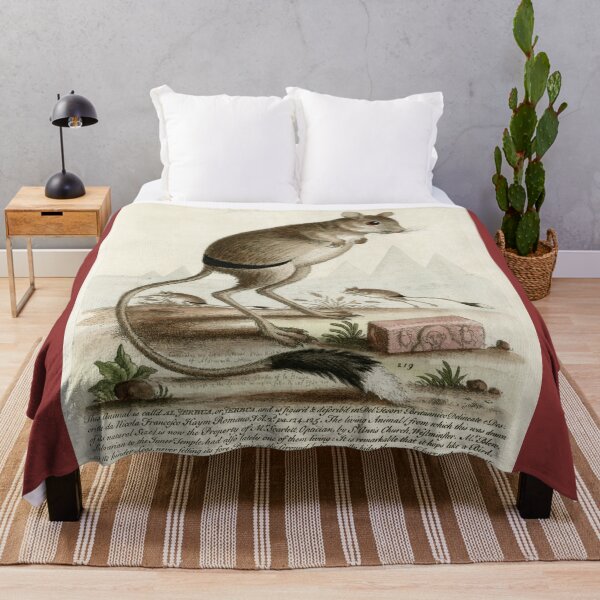 Item preview, Jerboas, drawn from life in 1758 designed and sold by TerryKerrImages.