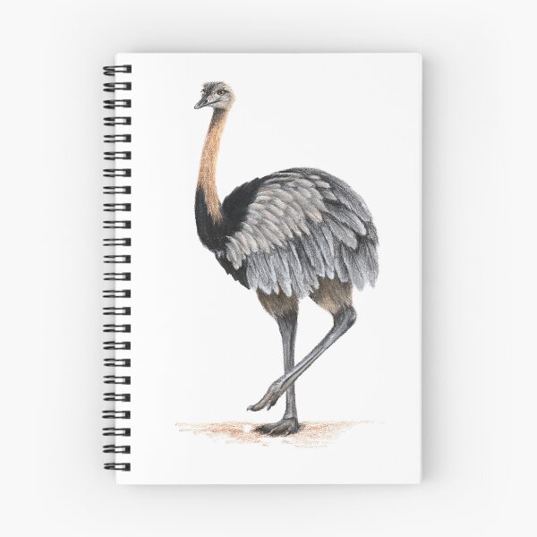 Item preview, American Rhea - Naturalist illustration in dry pastel of a large ratite bird designed and sold by Chouetteplanete.