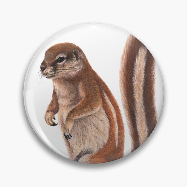Item preview, African Xerus - Original animal illustration in dry pastel by me designed and sold by Chouetteplanete.