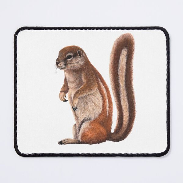 Item preview, African Xerus - Original animal illustration in dry pastel by me designed and sold by Chouetteplanete.