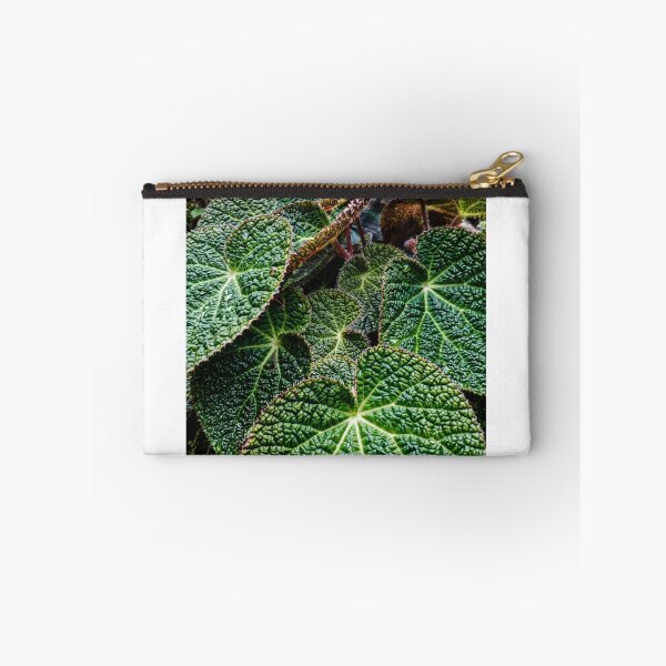 Item preview, Vintage Nepenthes Pitcher Plant Botanical Photo designed and sold by ChotipahArt.