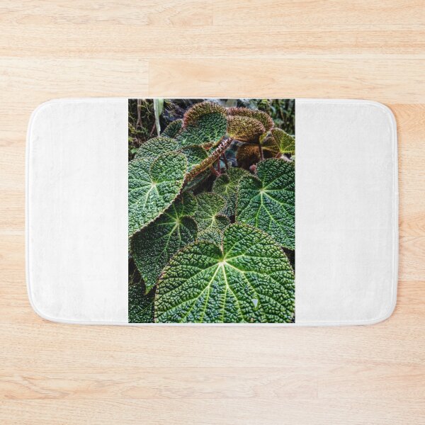 Item preview, Vintage Nepenthes Pitcher Plant Botanical Photo designed and sold by ChotipahArt.