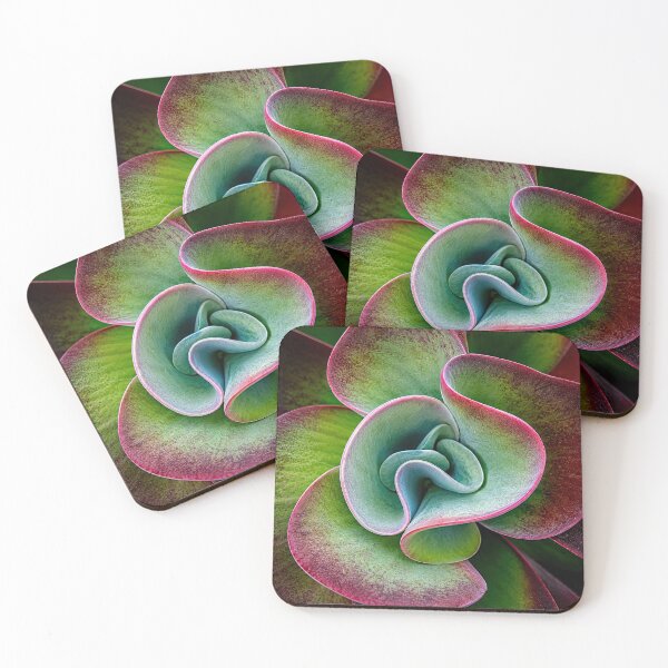 Item preview, Succulent designed and sold by andreisky.